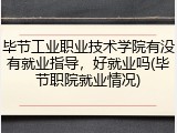 毕节工业职业技术学院有没有就业指导，好就业吗(毕节职院就业情况)