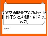 武汉交通职业学院就读期间挂科了怎么办呢？(挂科怎么办)