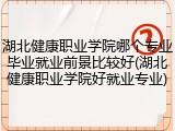 湖北健康职业学院哪个专业毕业就业前景比较好(湖北健康职业学院好就业专业)