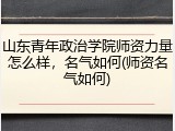 山东青年政治学院师资力量怎么样，名气如何(师资名气如何)