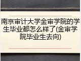 南京审计大学金审学院的学生毕业都怎么样了(金审学院毕业生去向)
