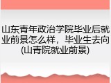 山东青年政治学院毕业后就业前景怎么样，毕业生去向(山青院就业前景)