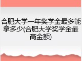 合肥大学一年奖学金最多能拿多少(合肥大学奖学金最高金额)