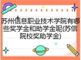 苏州信息职业技术学院有哪些奖学金和助学金呢(苏信院校奖助学金)