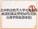 北京航空航天大学北海学院就读的真实感觉如何(北航北海学院就读体验)