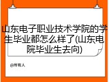 山东电子职业技术学院的学生毕业都怎么样了(山东电院毕业生去向)