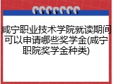 咸宁职业技术学院就读期间可以申请哪些奖学金(咸宁职院奖学金种类)