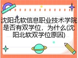 沈阳北软信息职业技术学院是否有双学位，为什么(沈阳北软双学位原因)