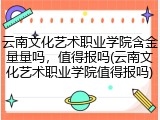 云南文化艺术职业学院含金量量吗，值得报吗(云南文化艺术职业学院值得报吗)