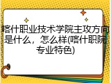 喀什职业技术学院主攻方向是什么，怎么样(喀什职院专业特色)