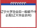 辽宁大学毕业后一般能干什么呢(辽大毕业去向)