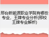 邢台新能源职业学院有哪些专业，王牌专业分析(邢校王牌专业解析)