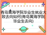 青岛黄海学院毕业生就业大致去向如何(青岛黄海学院毕业生去向)