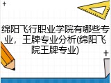 绵阳飞行职业学院有哪些专业，王牌专业分析(绵阳飞院王牌专业)
