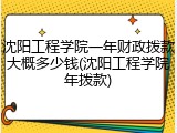 沈阳工程学院一年财政拨款大概多少钱(沈阳工程学院年拨款)