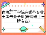青海理工学院有哪些专业，王牌专业分析(青海理工王牌专业)