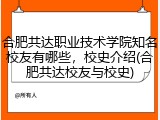 合肥共达职业技术学院知名校友有哪些，校史介绍(合肥共达校友与校史)