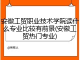 安徽工贸职业技术学院读什么专业比较有前景(安徽工贸热门专业)