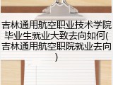 吉林通用航空职业技术学院毕业生就业大致去向如何(吉林通用航空职院就业去向)