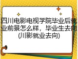 四川电影电视学院毕业后就业前景怎么样，毕业生去向(川影就业去向)