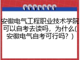 安徽电气工程职业技术学院可以自考去读吗，为什么(安徽电气自考可行吗？)