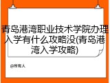 青岛港湾职业技术学院办理入学有什么攻略没(青岛港湾入学攻略)