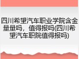 四川希望汽车职业学院含金量量吗，值得报吗(四川希望汽车职院值得报吗)