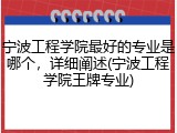 宁波工程学院最好的专业是哪个，详细阐述(宁波工程学院王牌专业)