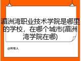 湄洲湾职业技术学院是哪里的学校，在哪个城市(湄洲湾学院在哪)