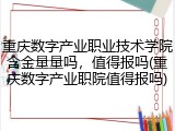 重庆数字产业职业技术学院含金量量吗，值得报吗(重庆数字产业职院值得报吗)