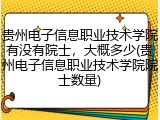 贵州电子信息职业技术学院有没有院士，大概多少(贵州电子信息职业技术学院院士数量)