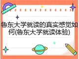 鲁东大学就读的真实感觉如何(鲁东大学就读体验)