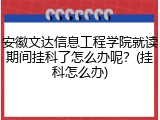 安徽文达信息工程学院就读期间挂科了怎么办呢？(挂科怎么办)