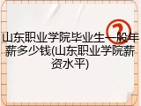 山东职业学院毕业生一般年薪多少钱(山东职业学院薪资水平)