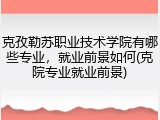 克孜勒苏职业技术学院有哪些专业，就业前景如何(克院专业就业前景)