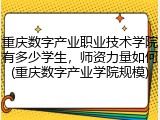 重庆数字产业职业技术学院有多少学生，师资力量如何(重庆数字产业学院规模)