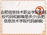 合肥信息技术职业学院的院校代码和邮编是多少(合肥信息技术学院代码邮编)