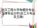 武汉工程大学有哪些专业，王牌专业分析(武工大专业及王牌)