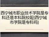 西宁城市职业技术学院是专科还是本科院校呢(西宁城市学院是专科吗)