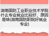 湖南国防工业职业技术学院什么专业就业比较好，原因是啥(湖南国防职院好就业专业)