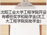 沈阳工业大学工程学院开设有哪些奖学和助学金(沈工大工程学院奖助学金)