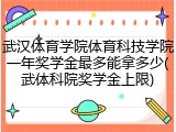 武汉体育学院体育科技学院一年奖学金最多能拿多少(武体科院奖学金上限)