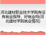 河北建材职业技术学院有没有就业指导，好就业吗(河北建材学院就业情况)