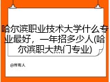 哈尔滨职业技术大学什么专业最好，一年招多少人(哈尔滨职大热门专业)