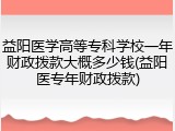 益阳医学高等专科学校一年财政拨款大概多少钱(益阳医专年财政拨款)