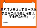 黑龙江冰雪体育职业学院奖学金评定细则是怎样的(奖学金评定细则)