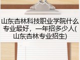 山东杏林科技职业学院什么专业最好，一年招多少人(山东杏林专业招生)