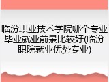 临汾职业技术学院哪个专业毕业就业前景比较好(临汾职院就业优势专业)