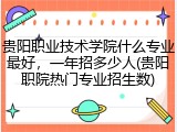 贵阳职业技术学院什么专业最好，一年招多少人(贵阳职院热门专业招生数)