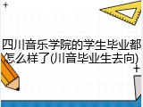 四川音乐学院的学生毕业都怎么样了(川音毕业生去向)